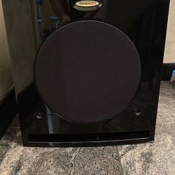 12” Subwoofer For Surround Sound