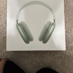 apple headphones airmax 100% authentication 