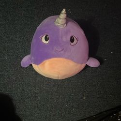 Small Walrus Squish, Mellow