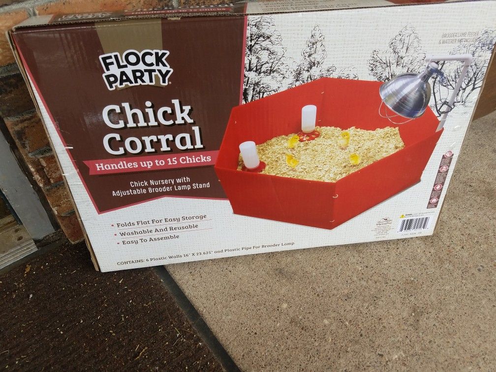 Flock party chick Corral