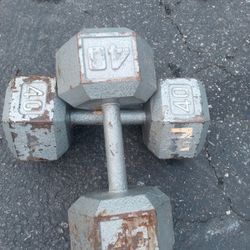 40 Pounds Dumbbells