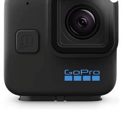Go Pro Mini 