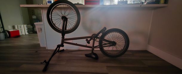Redline BMX race bike