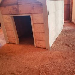 Dog House