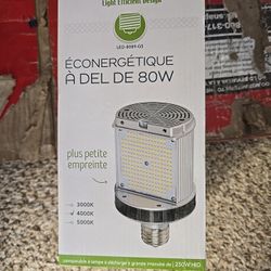 Econergetique 80W