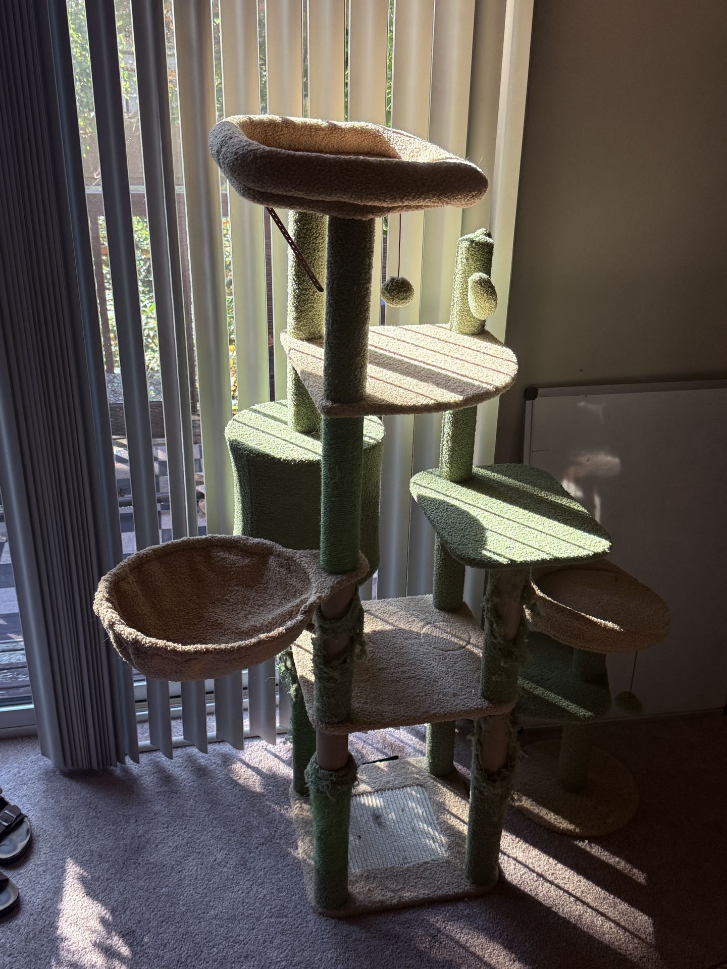 big cat tree pick up only