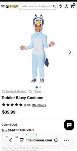 Bluey costume