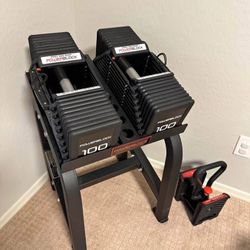 Powerblock 100