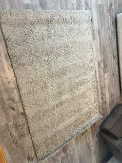 Moving Sale! Beige Shag Area Rug – Approx. 4’5” x 6’2”
