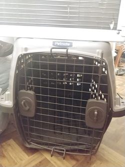 Smallish dog/large cat travel carrier