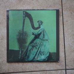 TV Girl Grapes Upon The Vine Vinyl Record 12" New and Unplayed