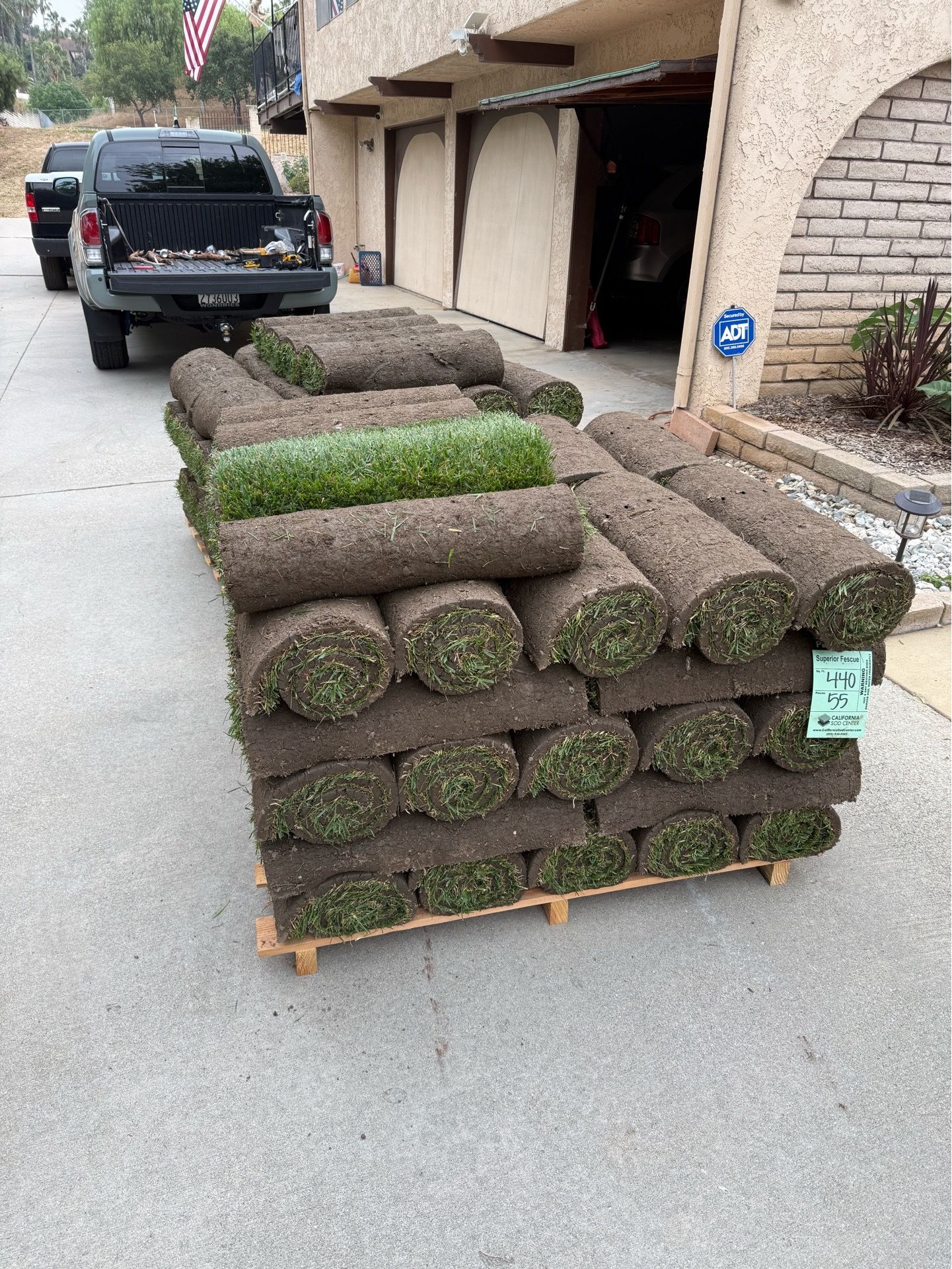 Fescue Sod