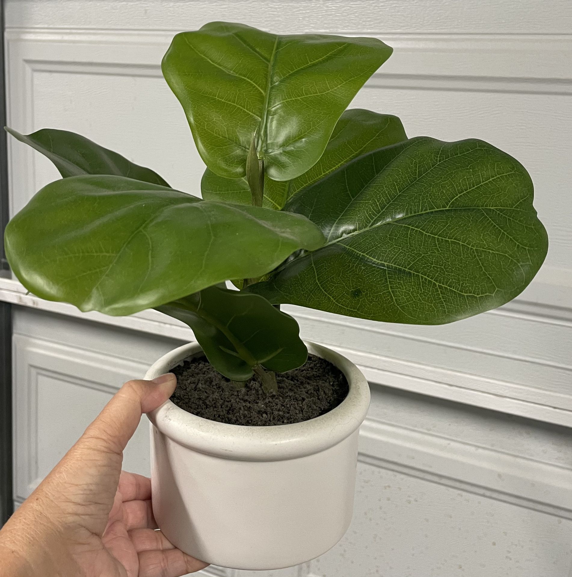 NEW - Fake Plant 