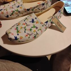 Brand New Toms Shoes