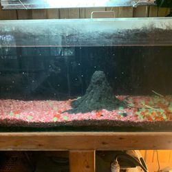 Two 120 Gallon Salt Water Tanks With All Filtration 