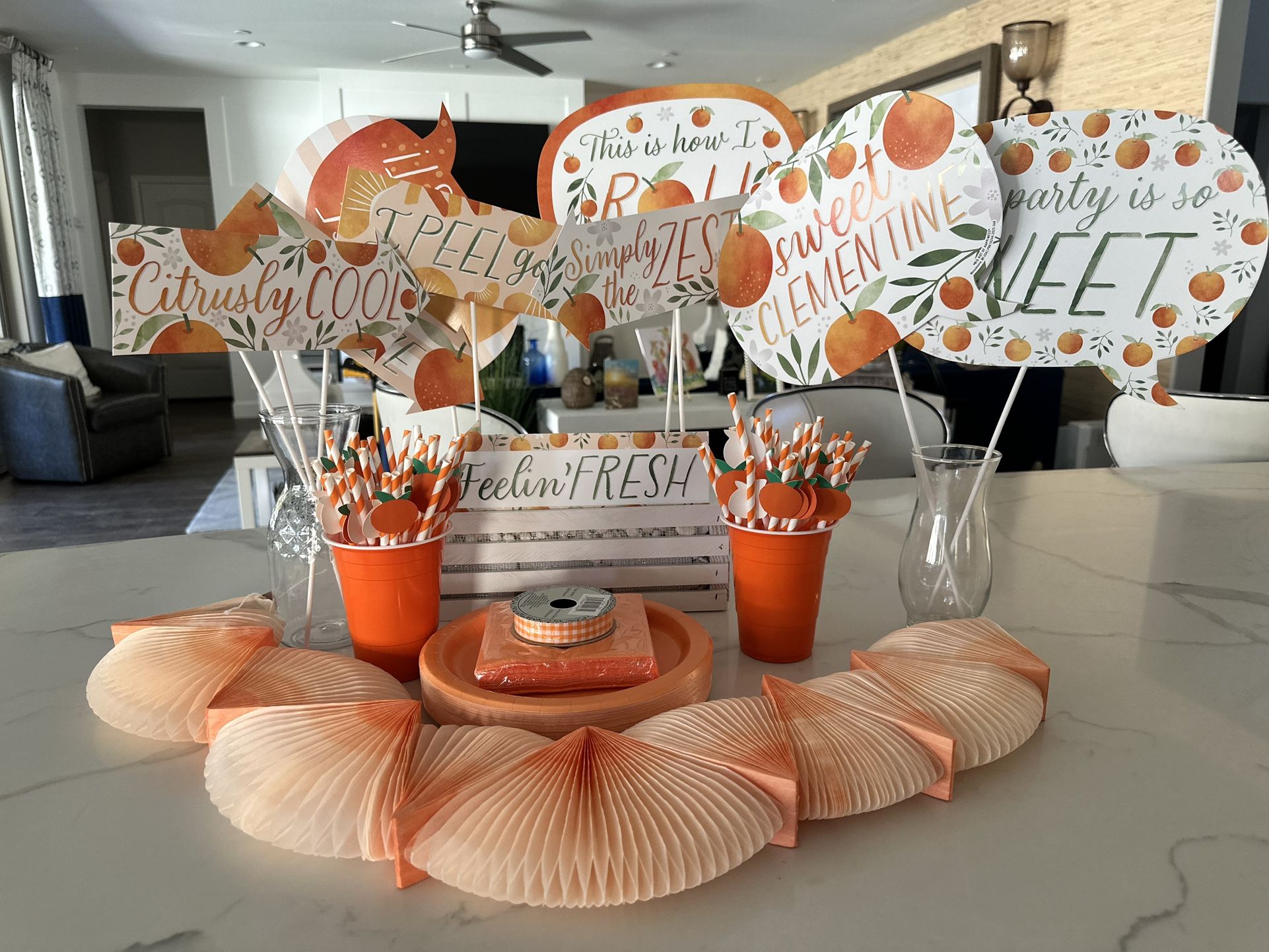 Orange Theme Party Decorations