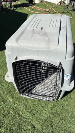 Pet taxi or house