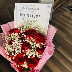 Proposal; Will You Be My Valentine?  