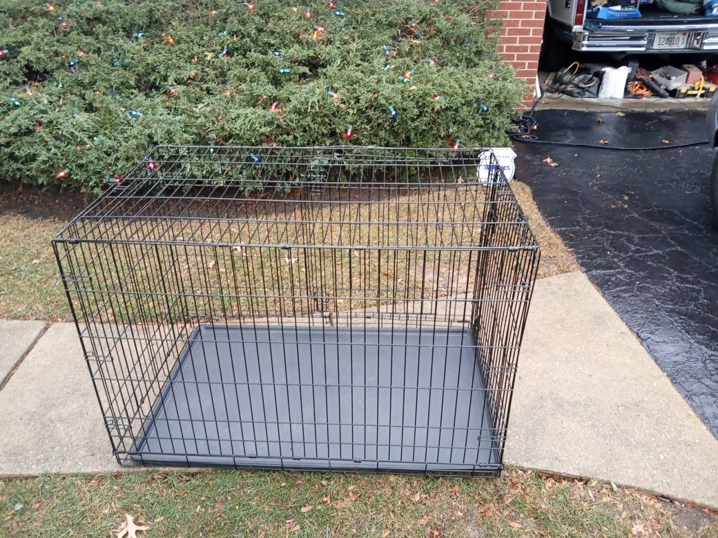 Kennel For Dogs