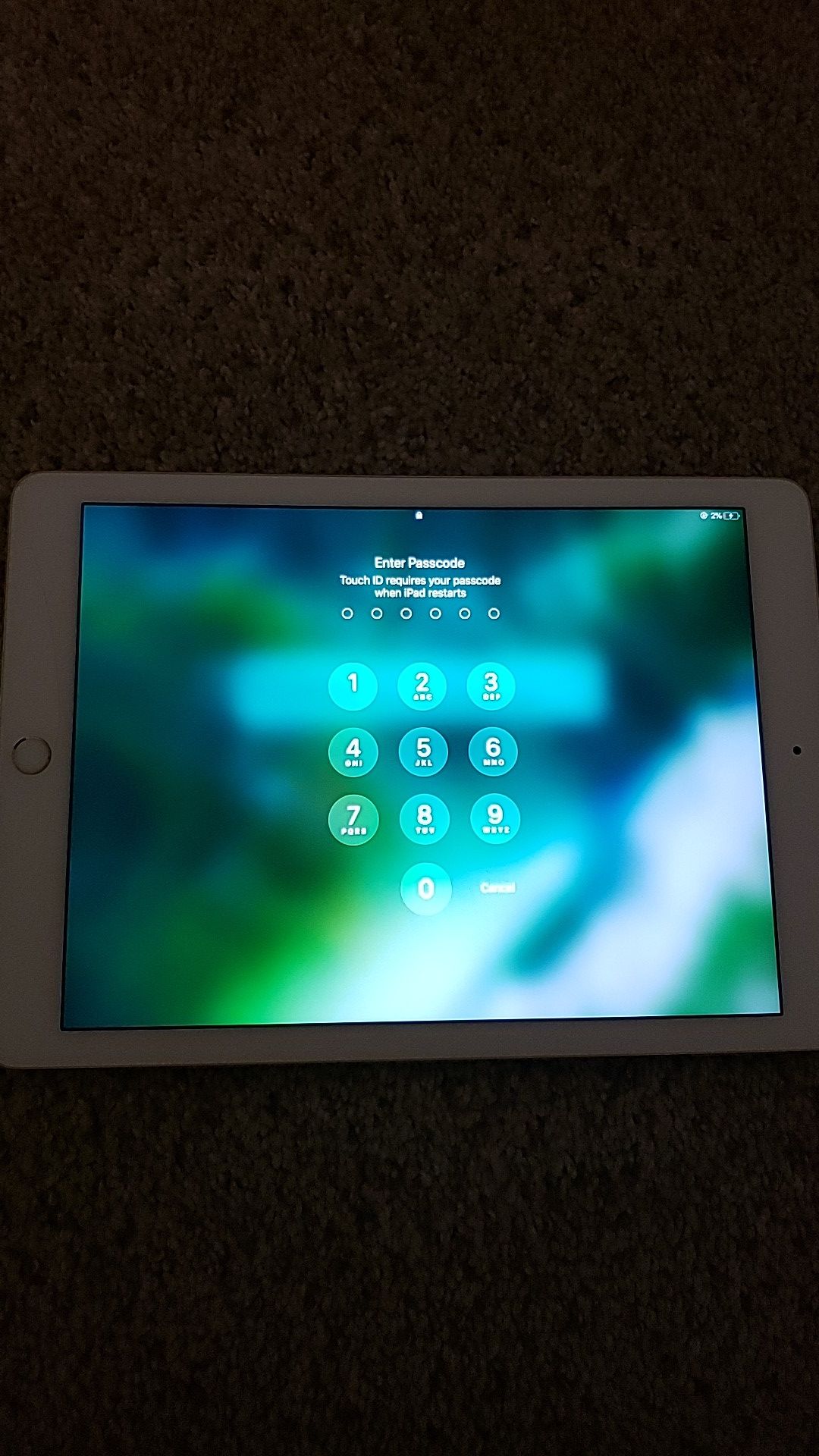 IPad Air 2 16gb WiFi Only