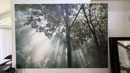 Large Forest Sunbeam Canvas Wall Art
