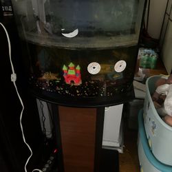 Fish Tank Front Curved