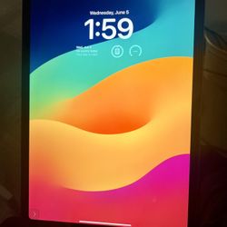 iPad Pro 11 Inch 2nd Gen 128 Gb WiFi Only