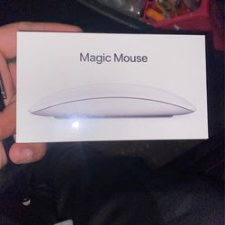 Apple Magic Mouse 
