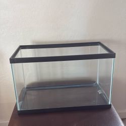 Fish Tank