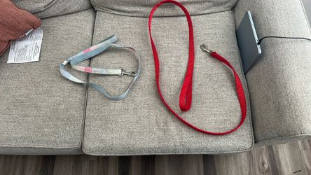 Dog leashes (2)