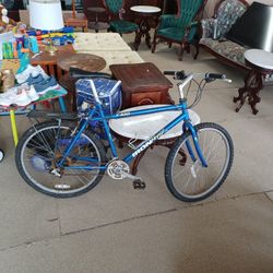 Mountain Bike, Iron Horse