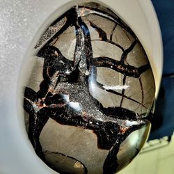 Septarian Egg From Madagascar (Dragons Egg) Crystal $350