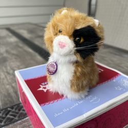 American Girl “Ginger” Cat