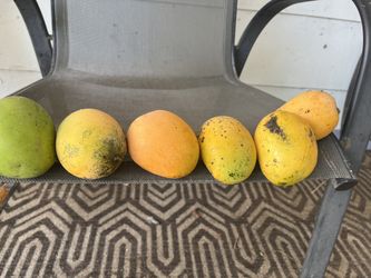 Mangoes