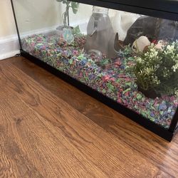 Pet Cage