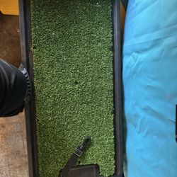Dog Ramp- Brand New