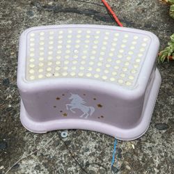 Step Stool Price 2$ Pick Up In Tacoma
