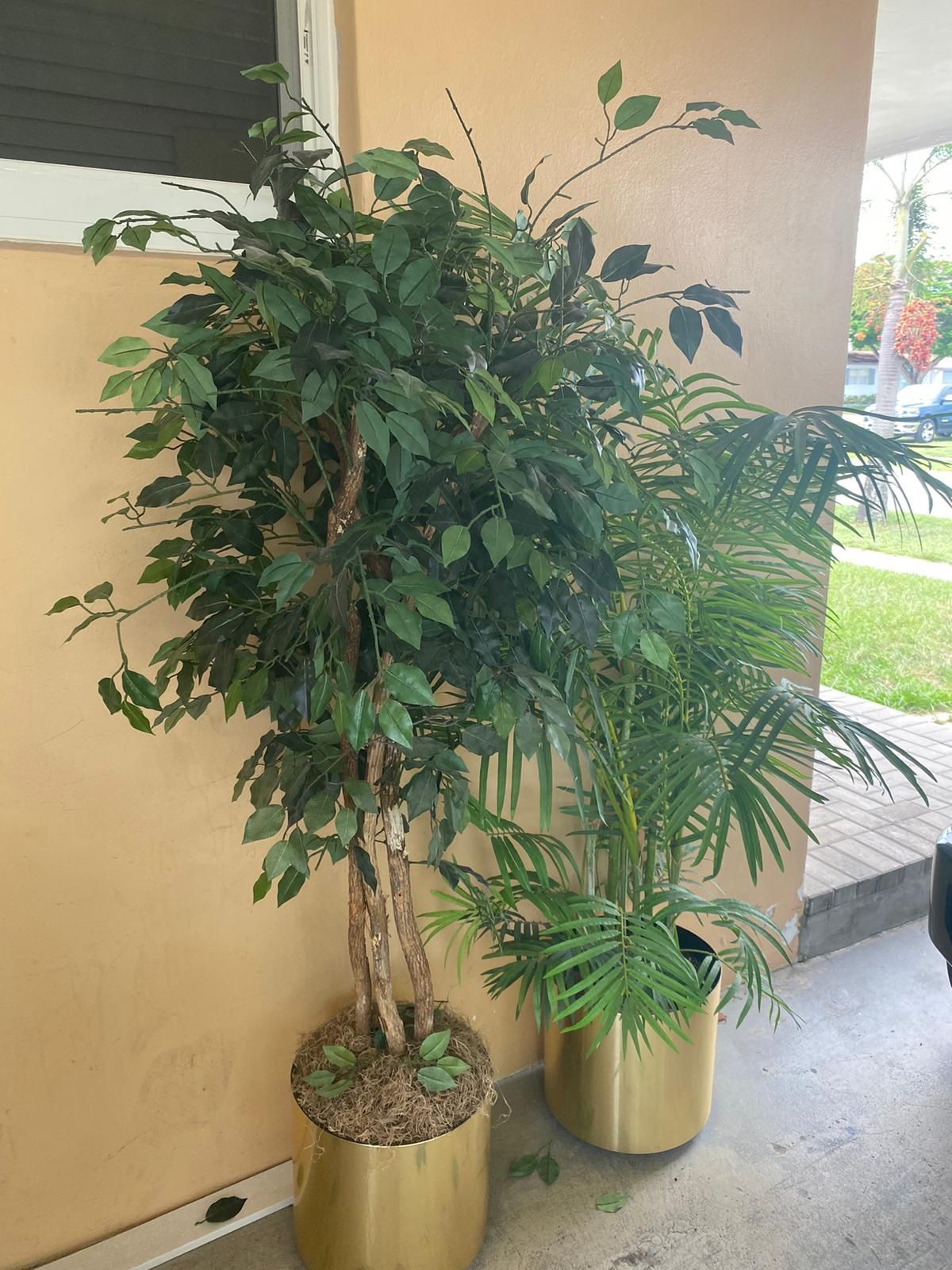 Plantas Artificiales De Decoración!