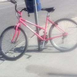Giant Bike Best Offer