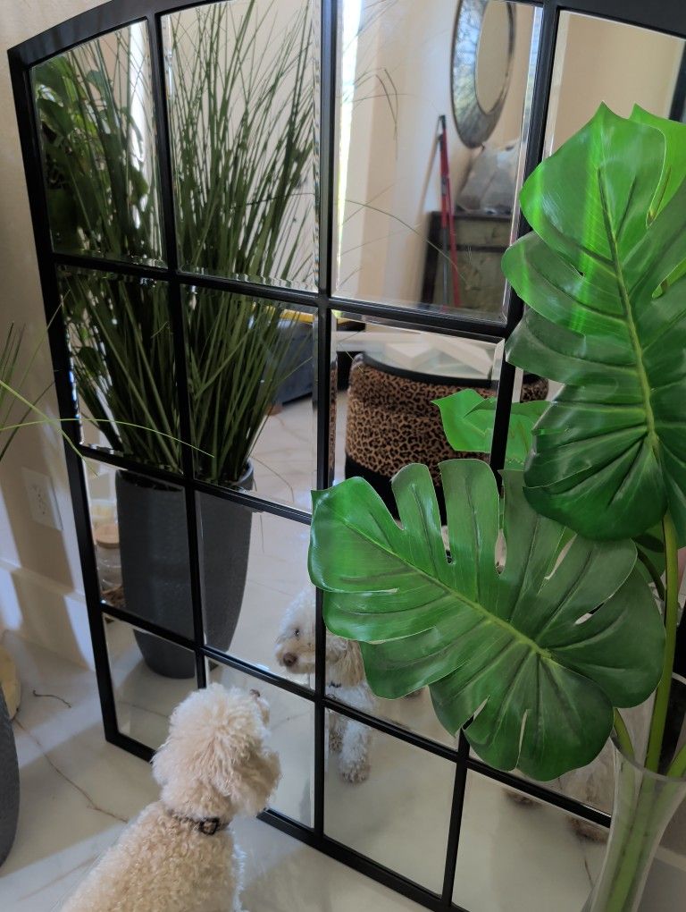 Beautiful Mirror With Black 