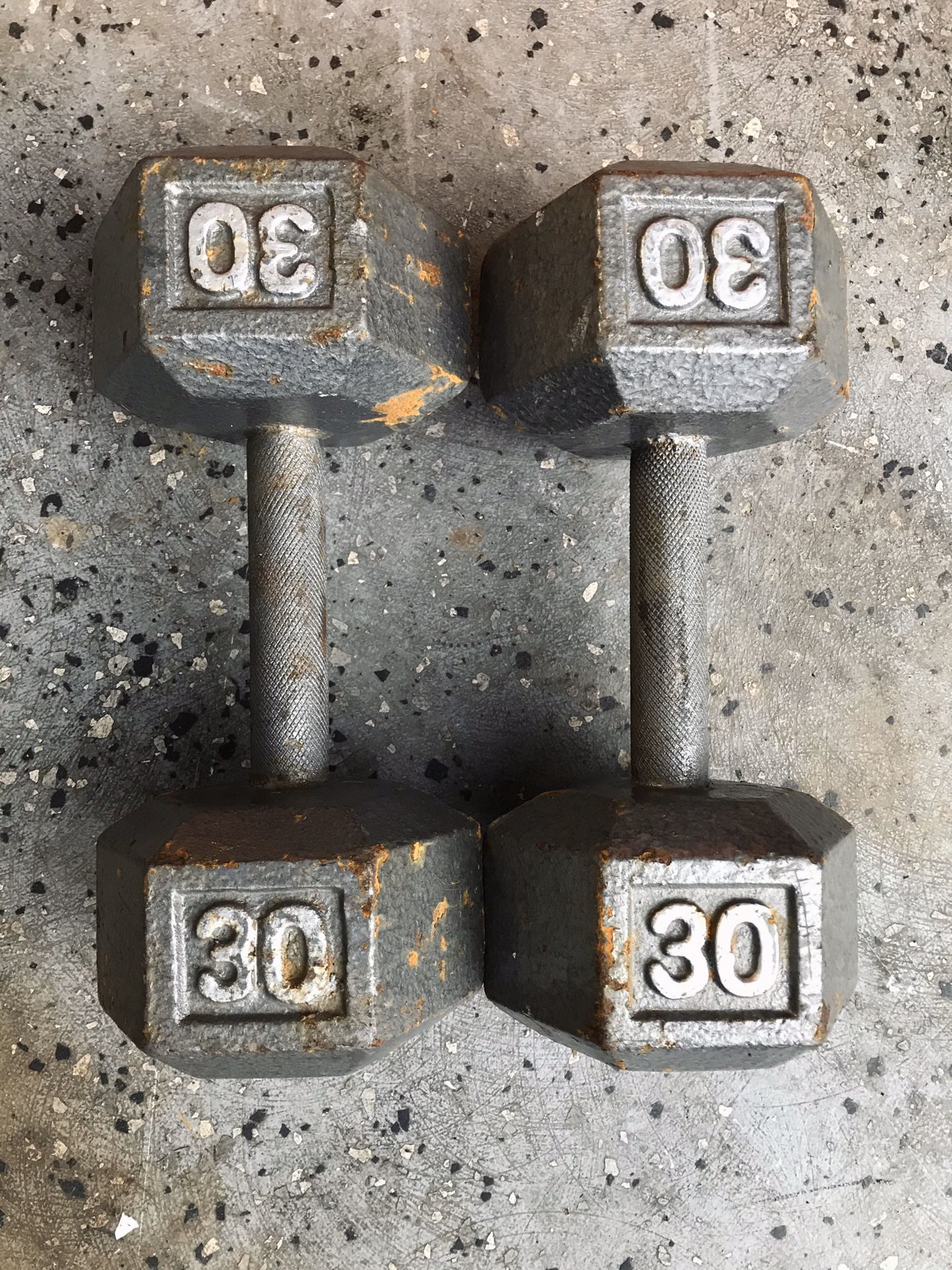 30 lb Dumbbell Weights