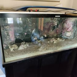 Fish Tank 125 Gallon With Stand And Many Accessories 