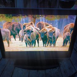 26 INCH PROSCAN 720P HDTV WITH ROKU REMOTE CONTROL STREAMING STICK $75 FINAL PRICE READ DESCRIPTION AND SEE 👀 ALL PICTURES