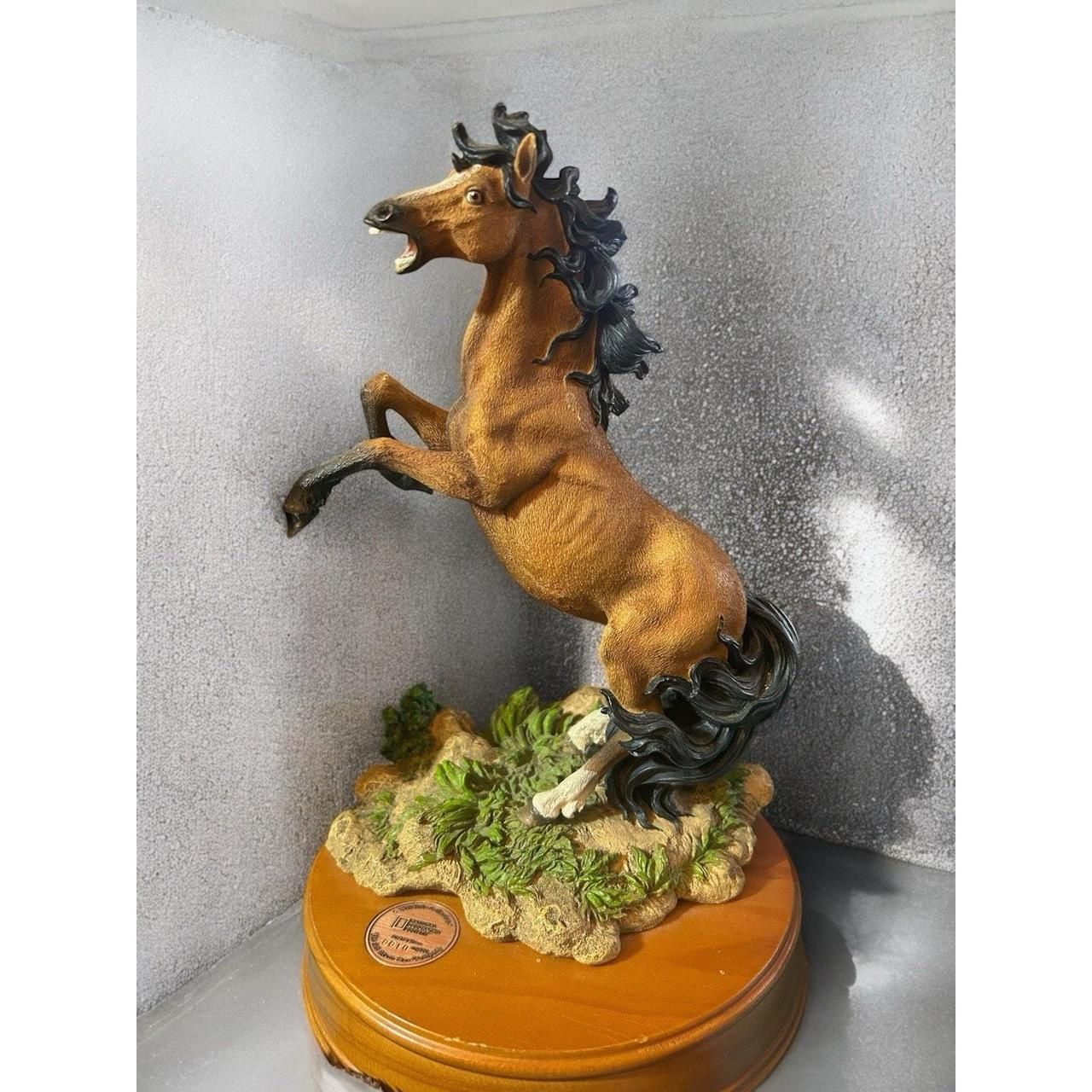 This horse is a limited edition from the National Geographic wildlife collection(140)39