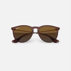 Ray-ban Erika Classic ‘POLISHED TRANSPARENT DARK BROWN’