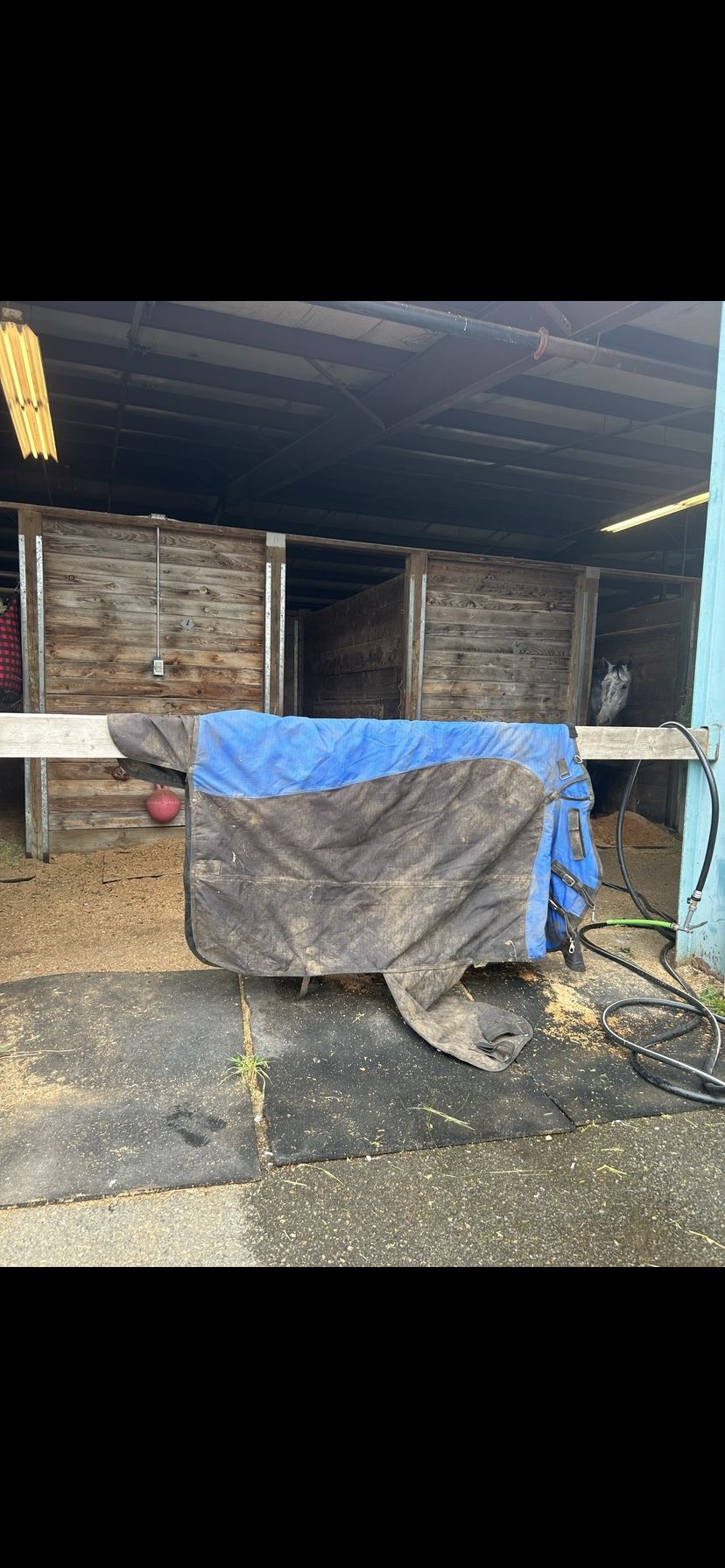 Horse blanket