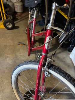 Schwinn cruiser 5