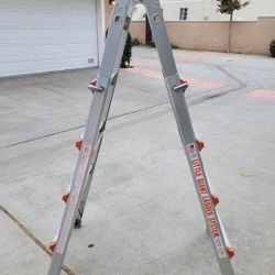 Little Giant Ladder Extends to 15 Feet