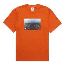 SUPREME / NIKE ACG GRID TEE SIZE MEDIUM