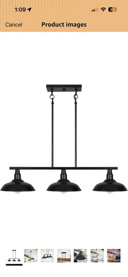 Kenroy Home Light Ficture